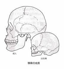 歯科医院によって治療方針が異なります